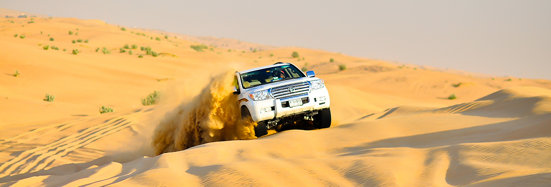 Desert Safari in Dubai