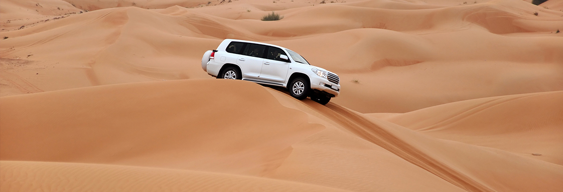 Dubai Desert Safari